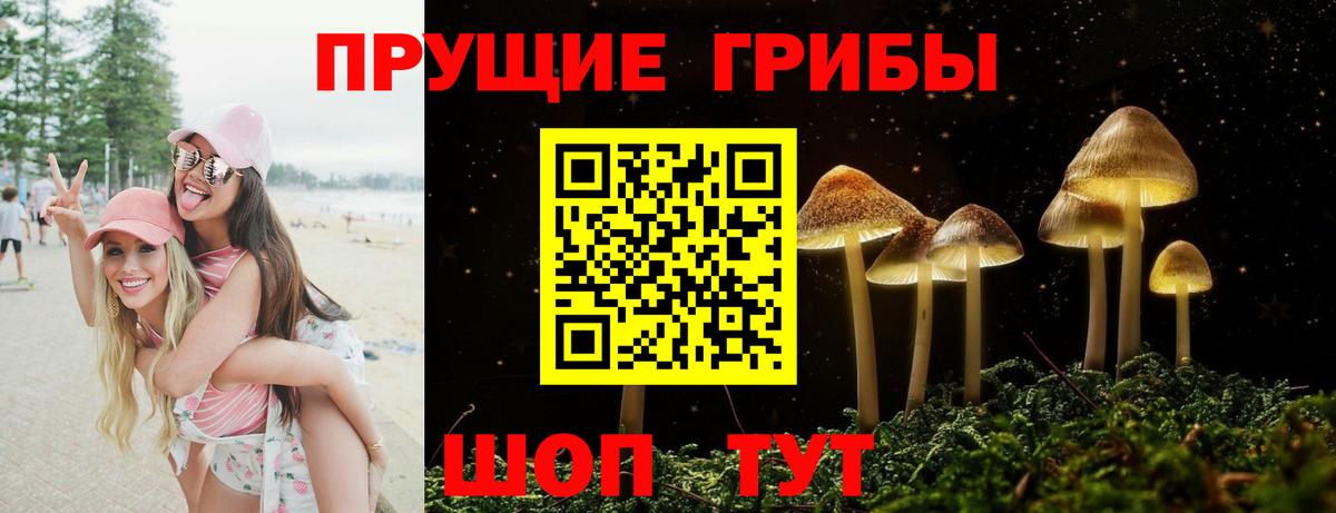Галлюциногенные грибы Cubensis  Галлюциногенные грибы прущие грибы  Свободный  Вход с VPN 